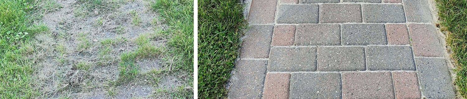 Så här blir dina plattor som nya Så här blir dina plattor som nya